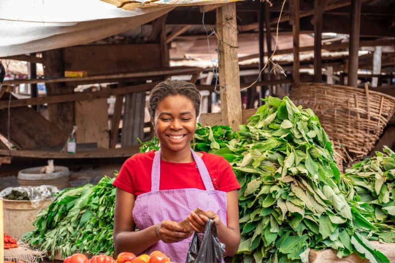 The Nigerian Farming Landscape: Powerhouse Potential with Room to Grow